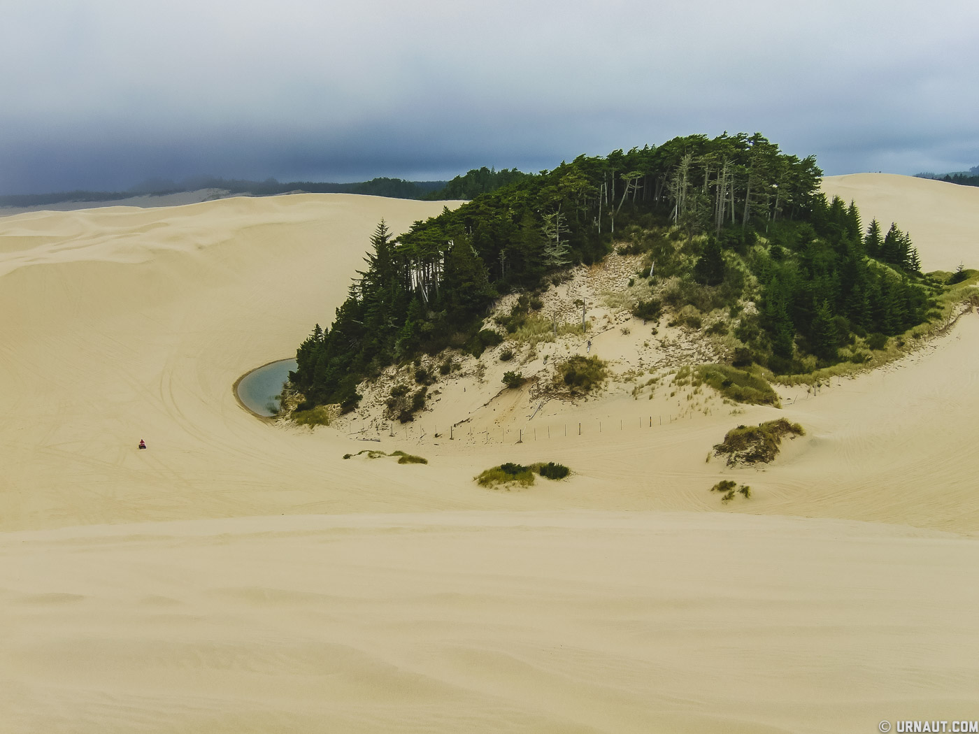 0095-Oregon Coast.jpg