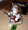 rock on kitty.jpg