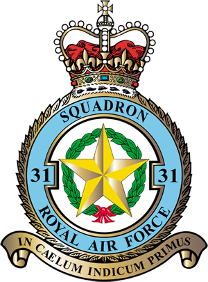 31sqn-300.png